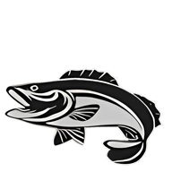 Ruth's Plaice 